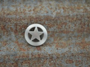 Silver Texas star set