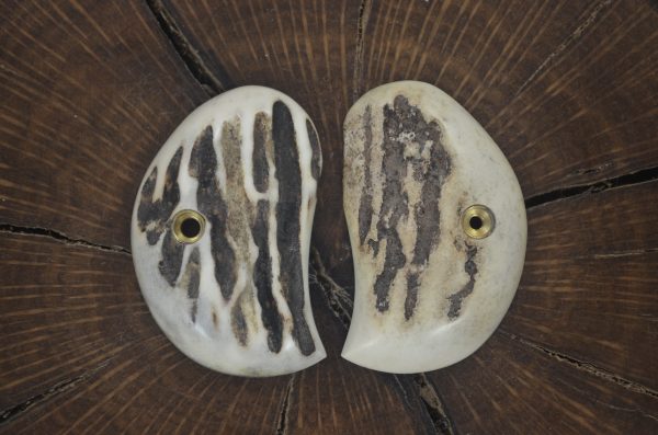 American Derringer   sambar stag grips