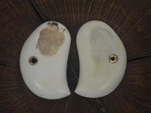American Derringer   sambar stag grips