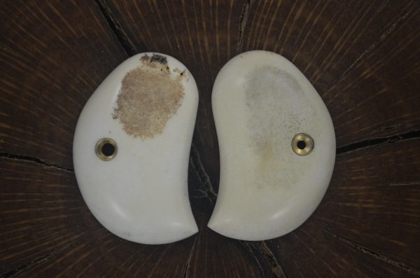 American Derringer   sambar stag grips
