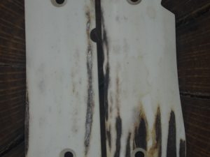 Colt government 380 Sambar stag grips