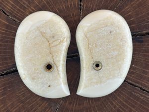 Bond Arms walrus Ivory grips