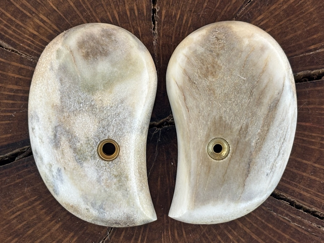 Bond Arms sun bleached stag grips