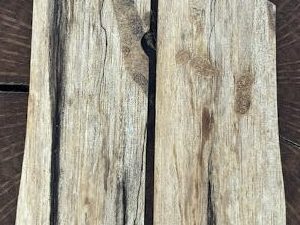 Colt government 380 spalted Texas pecan grips