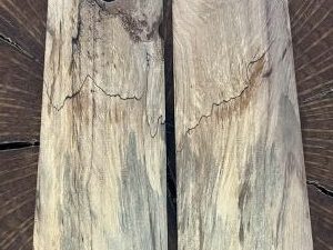Spalted Texas pecan  1911 round butt