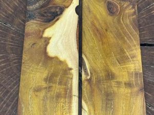 Bois d'ark,Horse apple, Osage orang 1911 grips